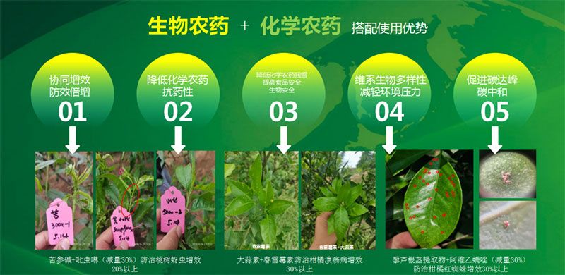 新朝陽在第六屆中國農(nóng)藥行業(yè)市場和銷售高峰論壇做“生物農(nóng)藥+化學(xué)農(nóng)藥，引領(lǐng)植保市場未來”主題報告