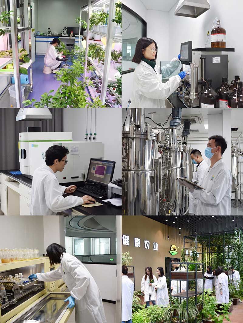 “全國科技工作者日”：推動農(nóng)業(yè)綠色高質(zhì)量發(fā)展，新朝陽科研人在路上