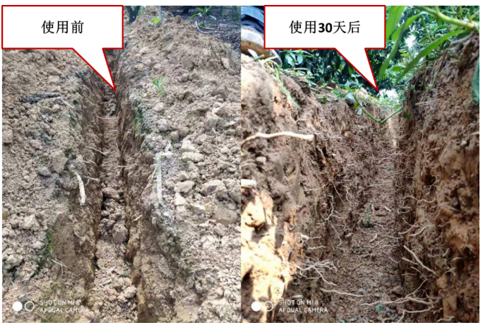 “土壤板結(jié)克星”：土壤調(diào)理劑你了解多少？